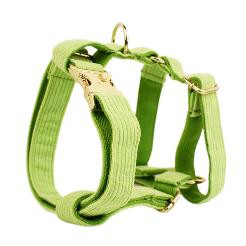 Harnais de sécurité vert pour chien, ajustable et confortable, fait en tissu résistant.