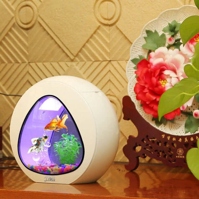 AquaDesign aquarium de bureau avec poissons colorés et décorations, idéal pour apporter la nature au bureau.