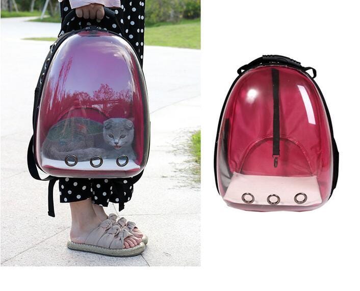 Sac à dos transparent pour animaux de compagnie avec un chat à l'intérieur, disponible en plusieurs couleurs.