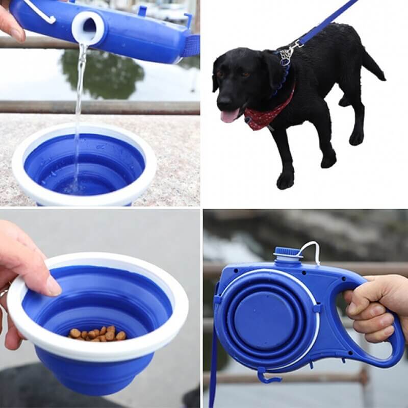Laisse pour chien avec bouteille d'eau et coupe, offrant praticité et confort pour les sorties avec votre animal.