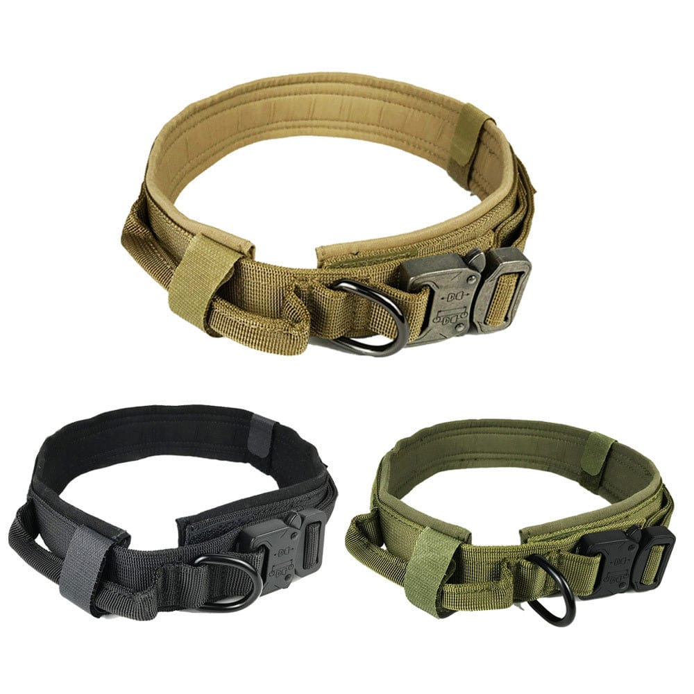 Collier de chien tactical en nylon résistant, disponible en noir, marron et vert, pour aventures en extérieur.