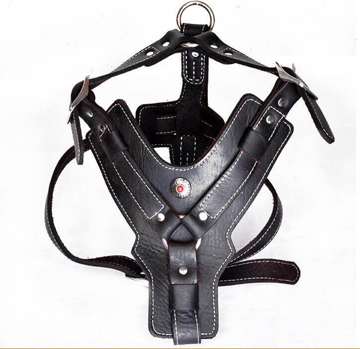 Harnais en cuir véritable pour chien, robuste et élégant, idéal pour le confort des animaux lors des promenades.