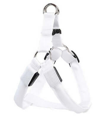 Harnais LED lumineux pour chien en blanc, avec sangle réglable et anneaux en métal pour sécurité.