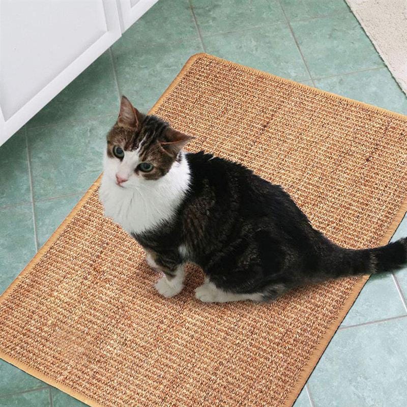Chat sur un tapis anti-rayures en sisal naturel, essentiel pour protéger vos meubles et divertir votre animal.