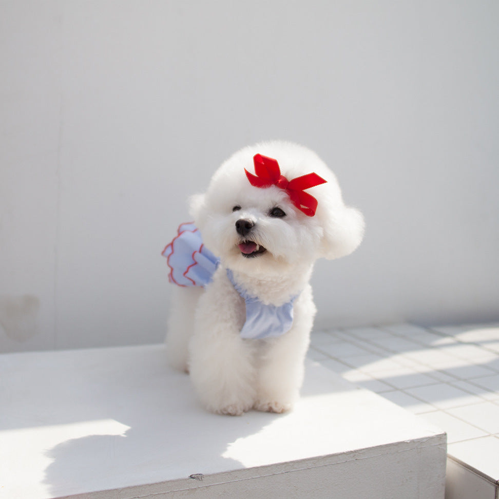 Robe d'Été Finesse pour Chien Princesse