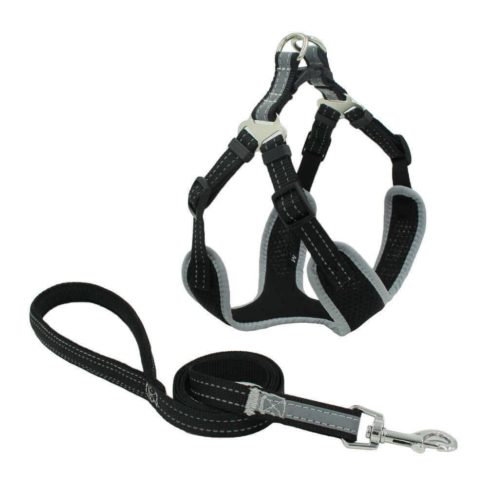 Harnais pour chien en maille réfléchissante avec laisse, en nylon durable et ajustable, idéal pour le confort et la sécurité.