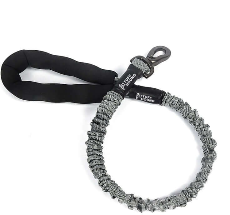 Harnais de poitrine pour chien avec laisse élastique, conçu pour confort et sécurité lors des promenades.