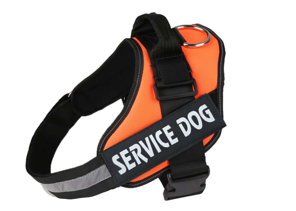 Harnais pour chien orange avec étiquette 'Service Dog', idéal pour la sécurité et le confort des animaux.