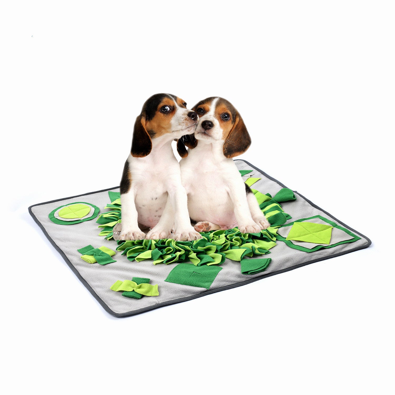 Tapis de flair pour chien