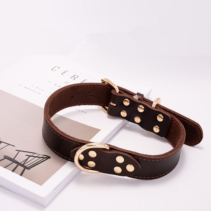 Collier pour chien confortable et durable en cuir marron avec boucles dorées sur un livre.