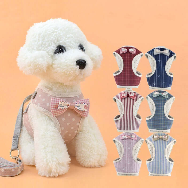 Harnais confortable pour chien avec laisse, disponible en plusieurs couleurs et motifs.