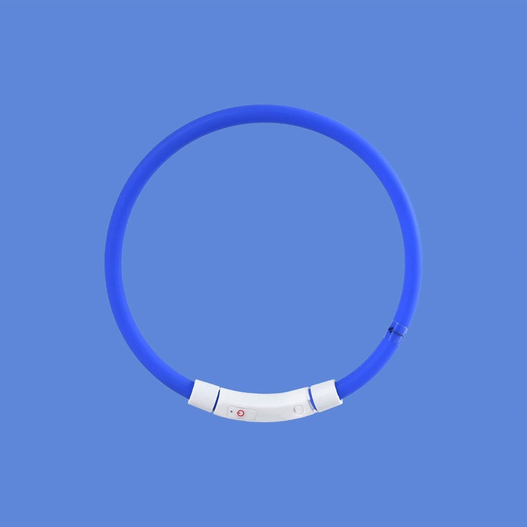 Collier Lumineux Anti-Perte pour chiens, idéal pour promenades nocturnes avec LED économe en énergie.
