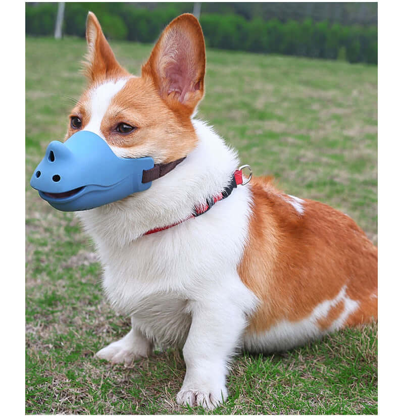 Corgi wearing an adjustable silicone muzzle in rhino shape, promoting comfort and safety for dogs.