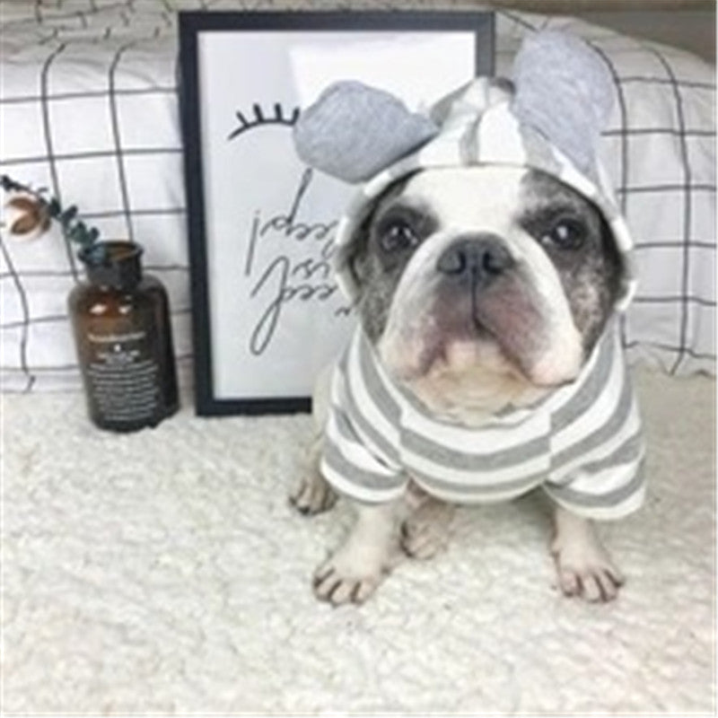 Chien en pull rayé gris avec capuchon aux oreilles, assis sur un tapis, décor moderne en arrière-plan.