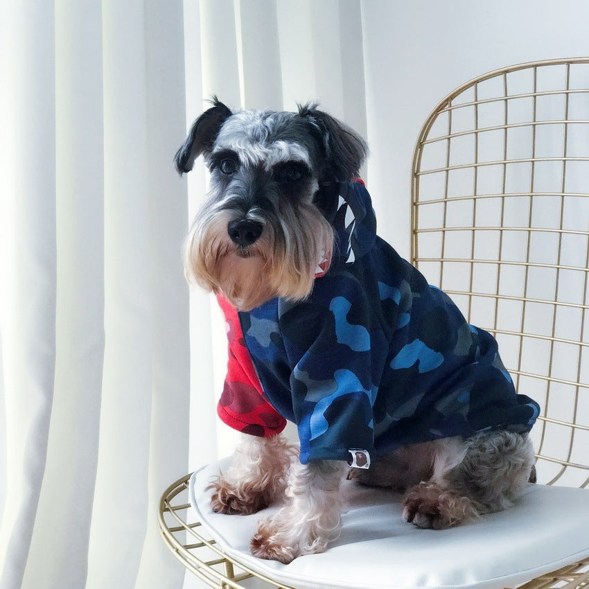 Chien portant un pull à capuche camouflé, assis sur une chaise stylée près de rideaux blancs.