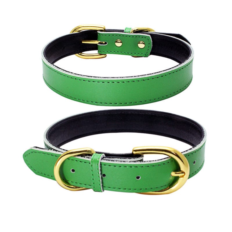 Collier en cuir vert pour animaux avec boucle dorée, élégant et durable pour chien ou chat.