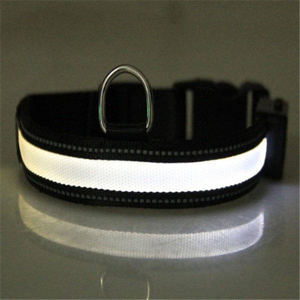 Collier de chien fluorescent avec bande réfléchissante pour visibilité nocturne, en nylon sécuritaire.