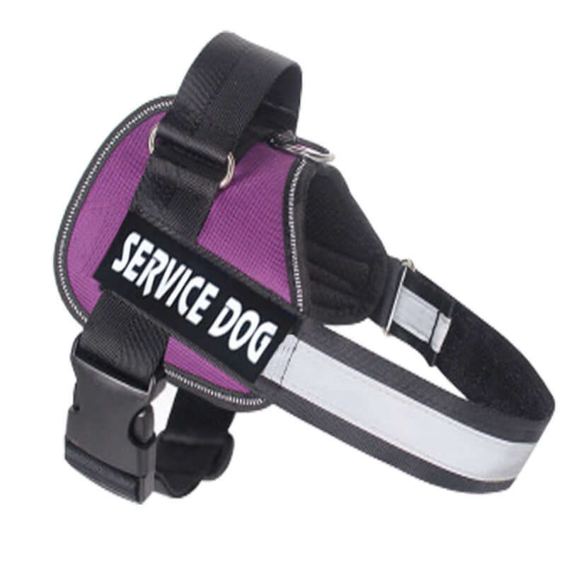 Harnais de chien pour service avec étiquette 'SERVICE DOG' en violet pour confort et visibilité.