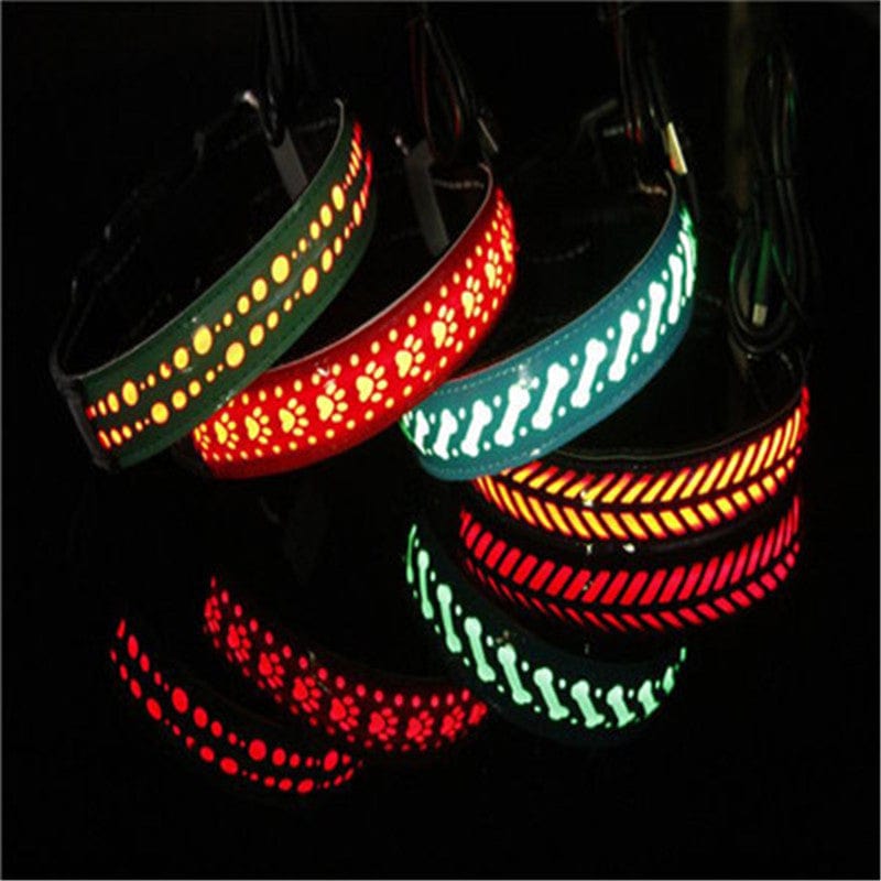 Colliers LED pour chien, lumineux et colorés, garantissant sécurité et style lors des promenades nocturnes.