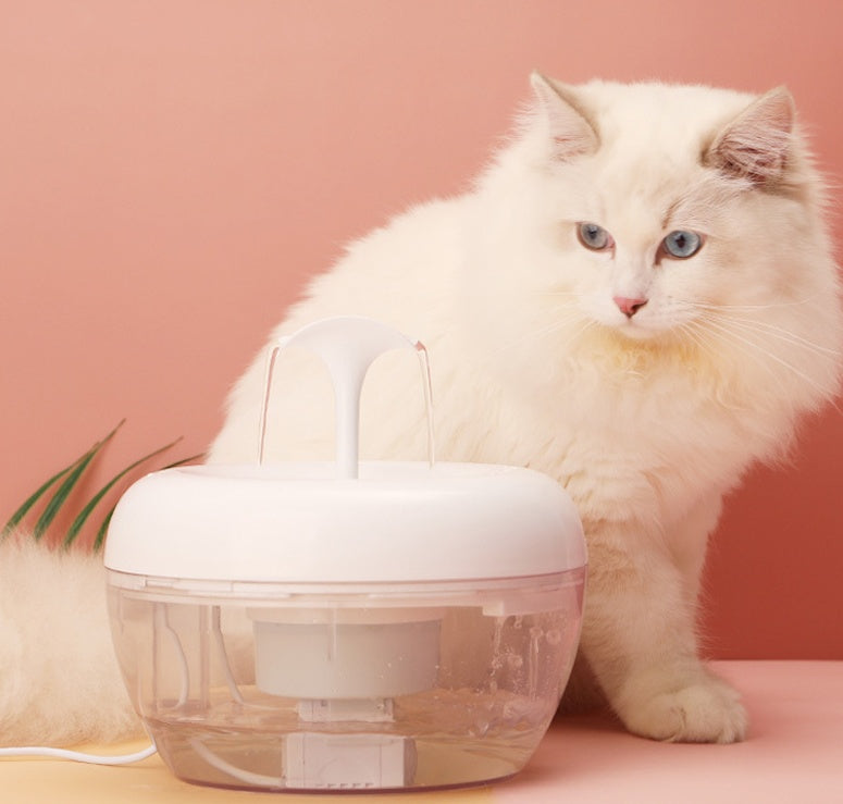 Distributeur d'eau purificateur automatique pour animaux avec un chat blanc aux yeux clairs, sur fond rose.