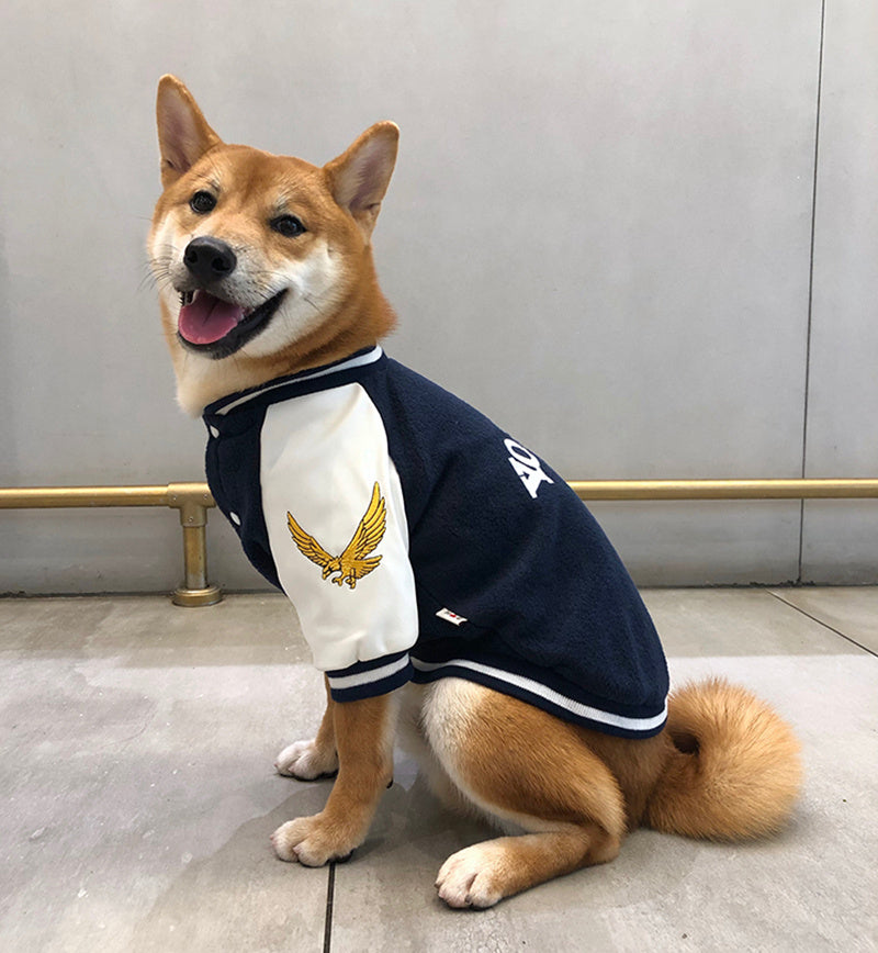Chien portant un uniforme de baseball en coton bleu marine avec aigle, offrant style et confort.