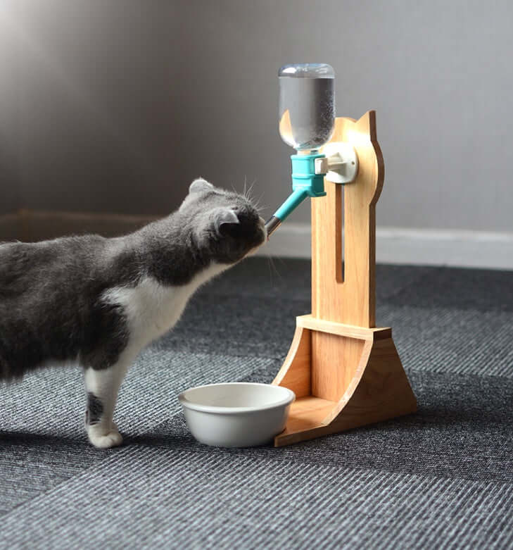 Fontaine à eau automatique pour chats en bois, avec chat s'approchant de la gamelle