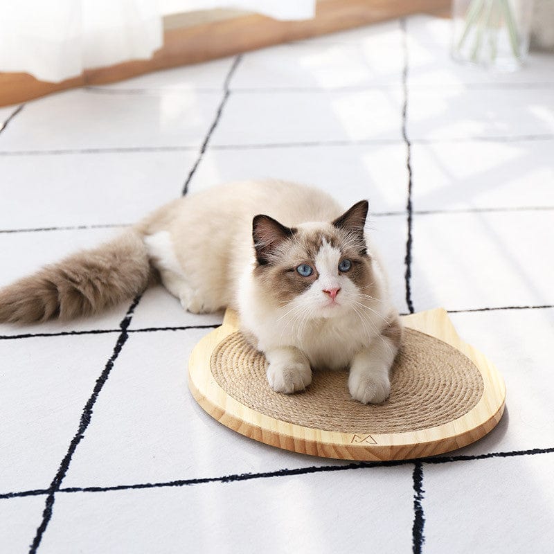 Chat relaxant sur une planche à gratter élégante en sisal, idéale pour le bien-être des félins.