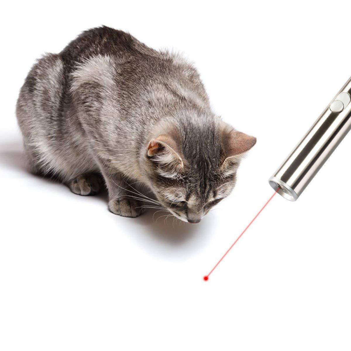 Bâton Laser Amusant pour Chats en Acier Inoxydable