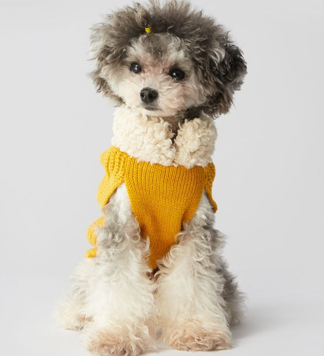 Chien portant un pull en laine jaune avec nœud papillon, parfait pour l'automne et l'hiver.