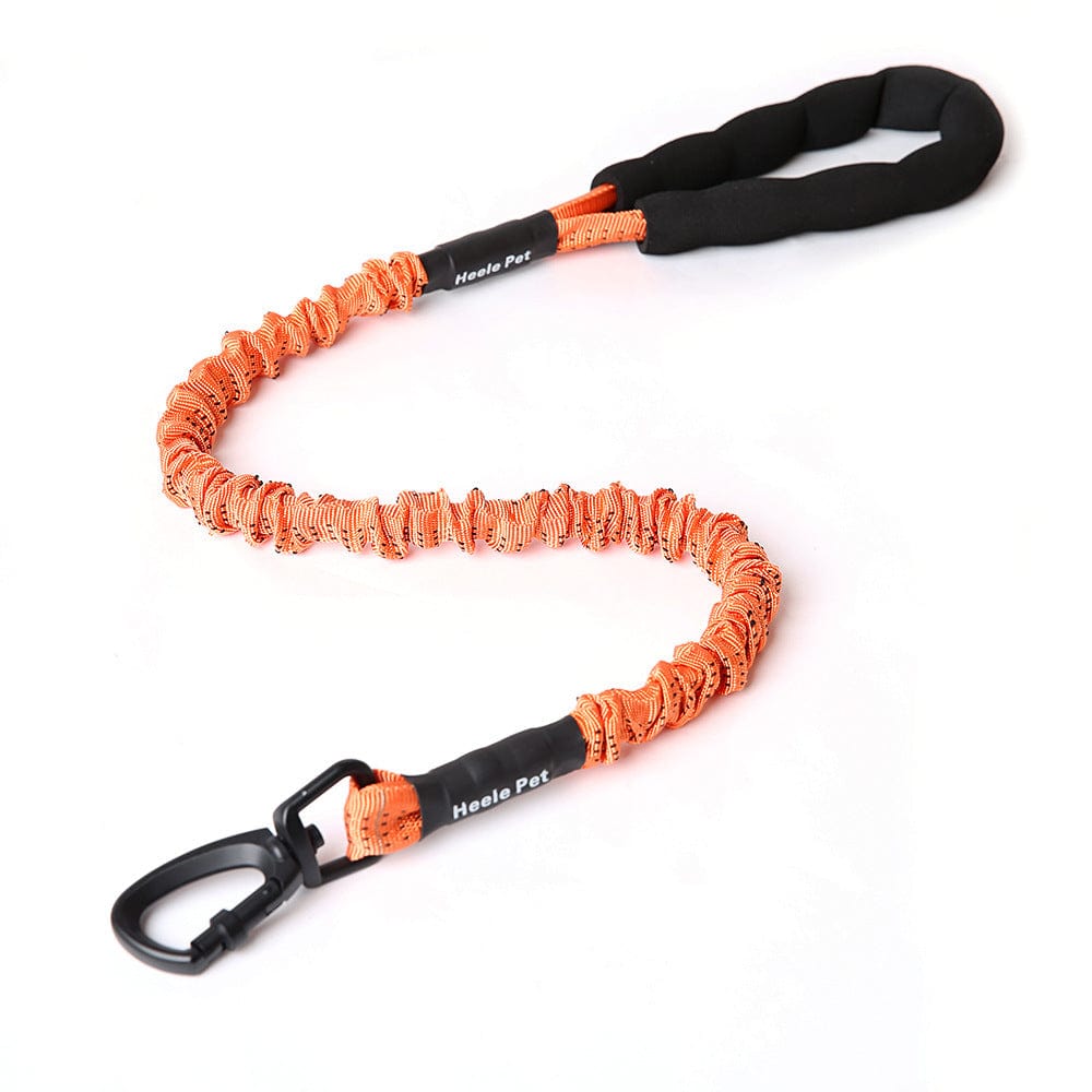 Corde de traction élastique orange pour chien, conçue pour sécurité et confort lors des promenades.