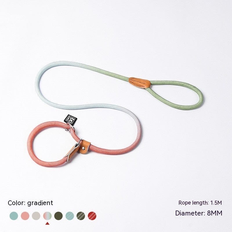 Laisse en nylon tressé P-Chain pour chiens, longueur 1.5M, couleur dégradé, idéale pour toutes les tailles de chiens.