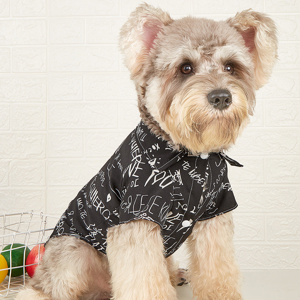 Petit chien portant un T-shirt noir imprimé avec des mots amusants, parfait pour un look stylé.