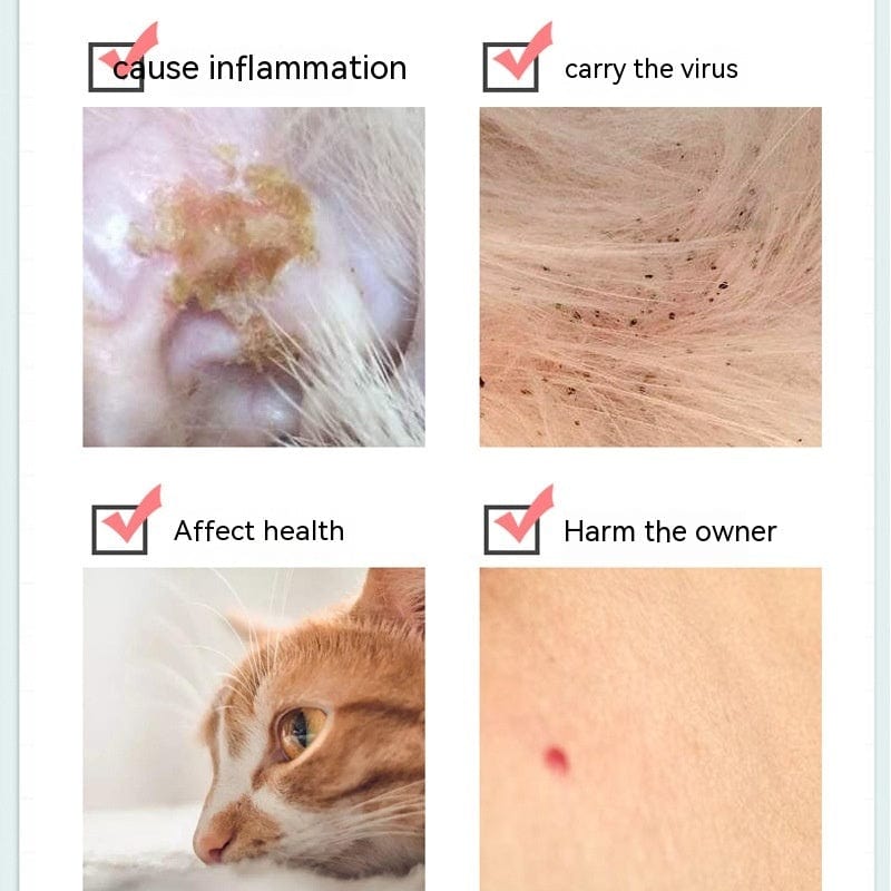 Image illustrating potential health risks: inflammation, virus transmission, health effects on pets and owners.