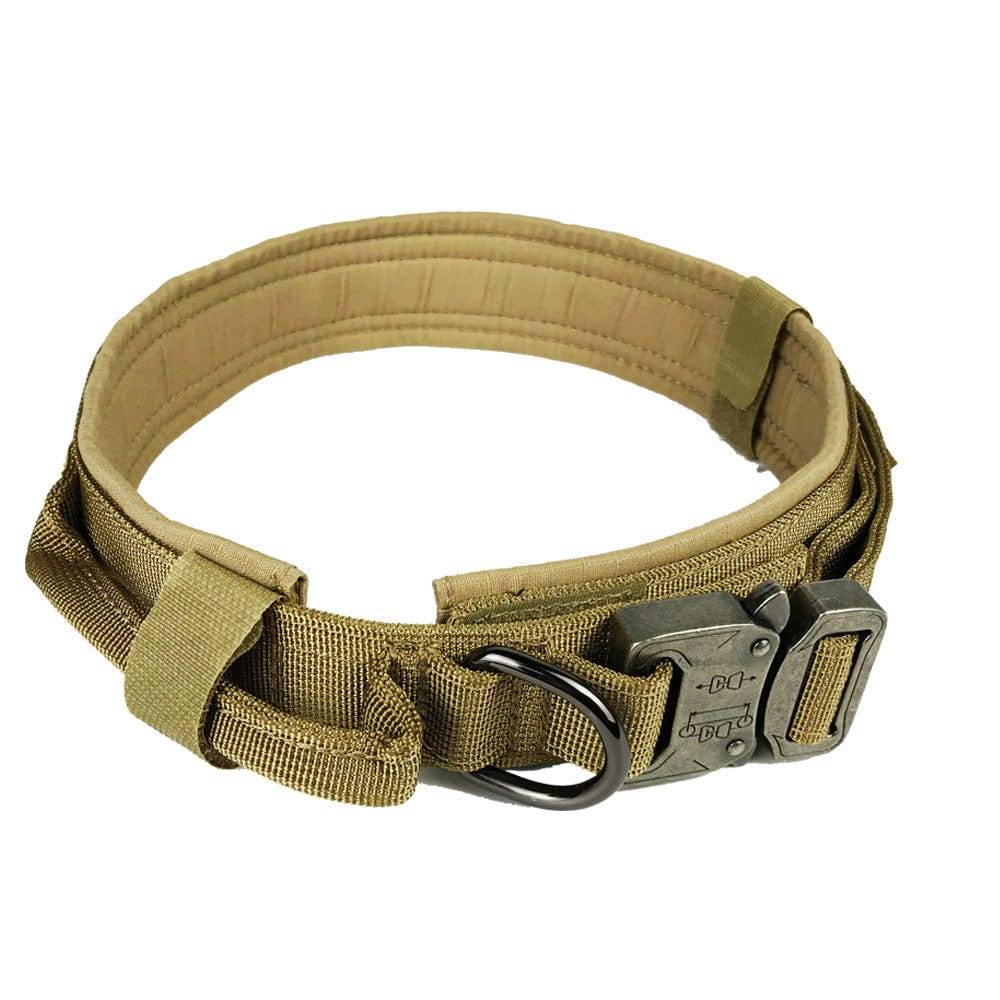 Collier de chien tactical en nylon durable, beige, conçu pour le confort et la sécurité des animaux.