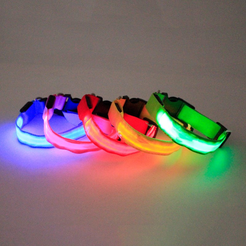 Colorful LED dog collars in blue, pink, red, and green for enhanced visibility at night.