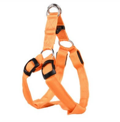Harnais LED lumineux pour chien en orange, idéal pour la sécurité et le style lors des promenades nocturnes.