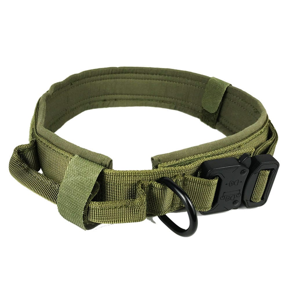 Collier de chien tactical en nylon résistant, parfait pour le confort et la sécurité lors des aventures en plein air.