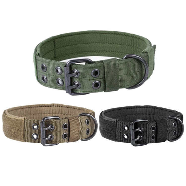 Collier anti-rouille en nylon pour chien, disponible en vert, noir et beige, alliant confort et durabilité.