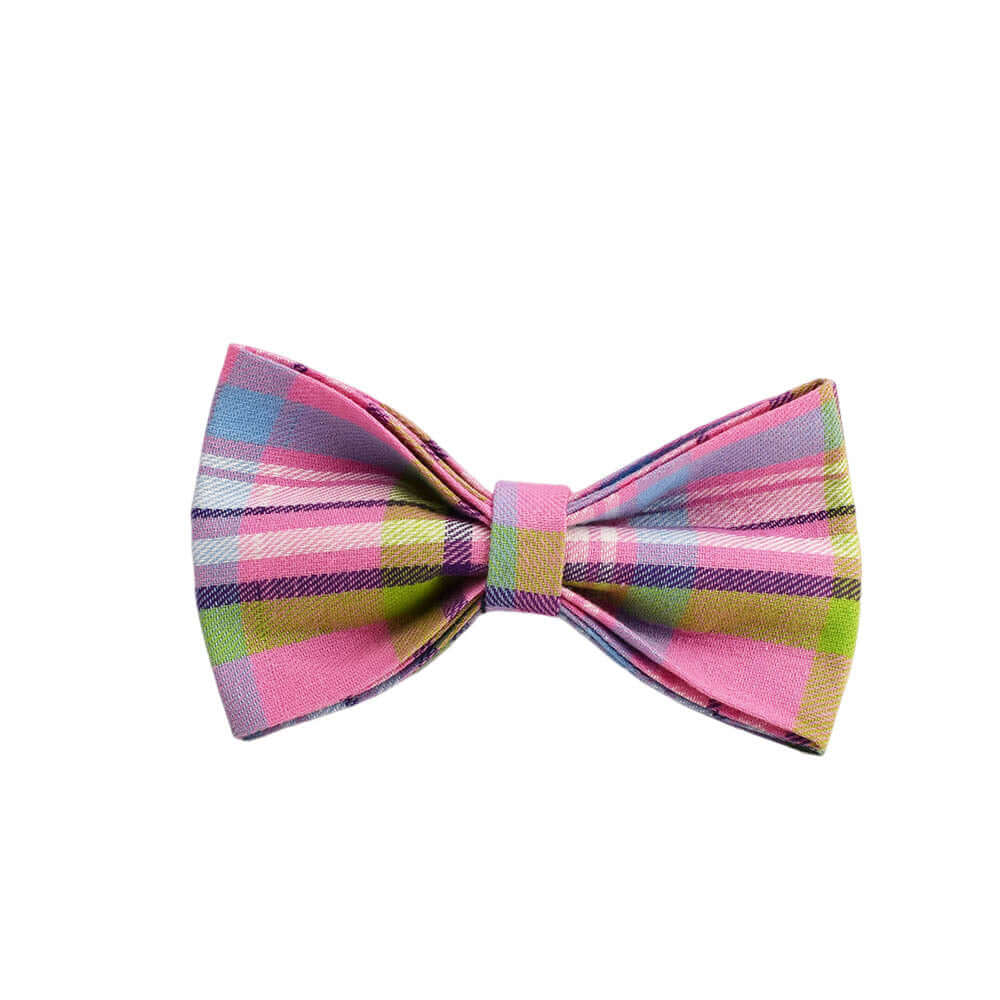 Nœud en tissu à carreaux colorés, parfait pour les accessoires de mode pour animaux.