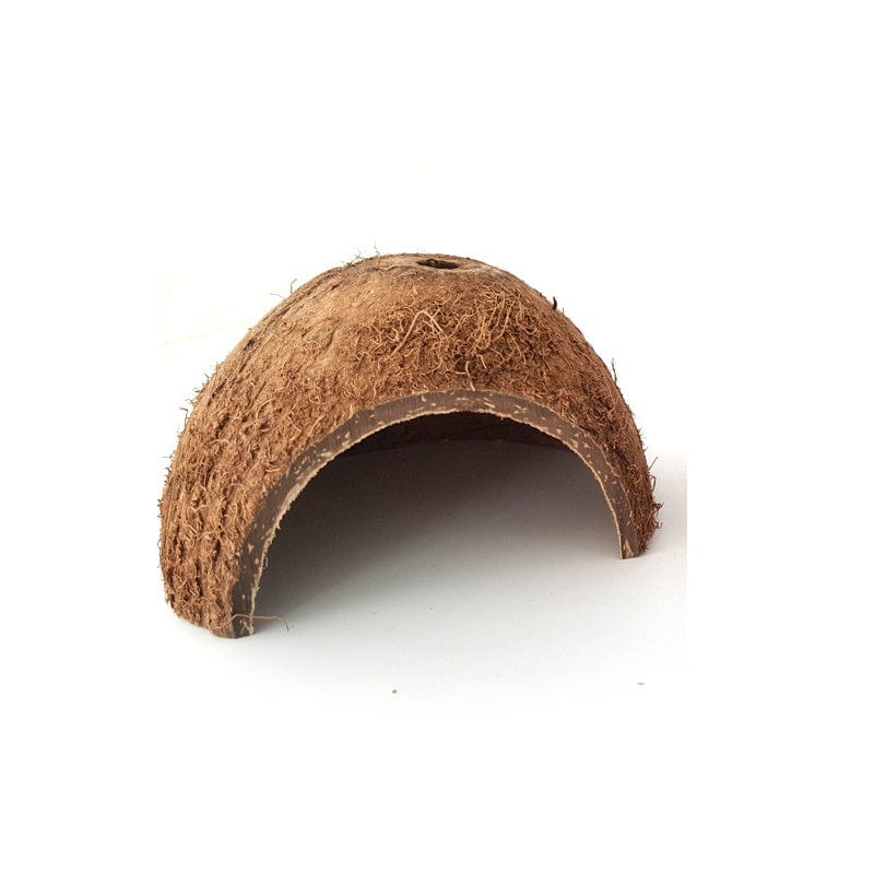 Cocon de Cachette Naturel pour Reptiles en Coquille de Coco