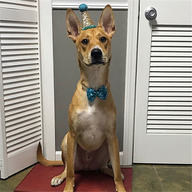 Chien assis portant un nœud papillon en sequins et un chapeau festif, ajoutant une touche d'élégance.