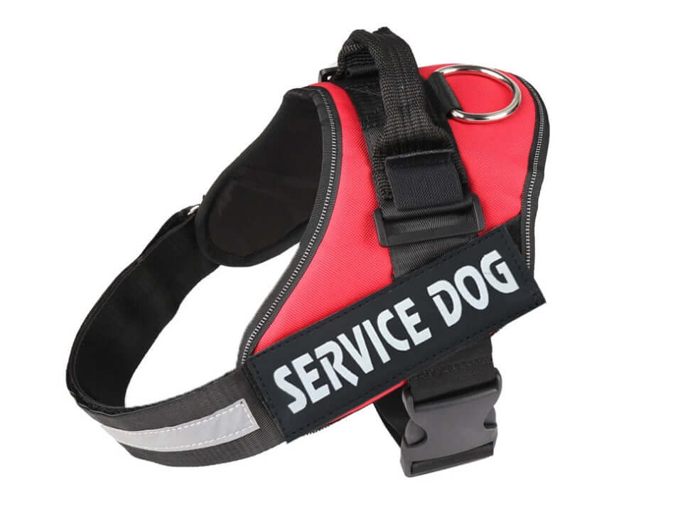 Harnais pour chien rouge avec étiquette 'SERVICE DOG', conçu pour le confort et la sécurité en extérieur.