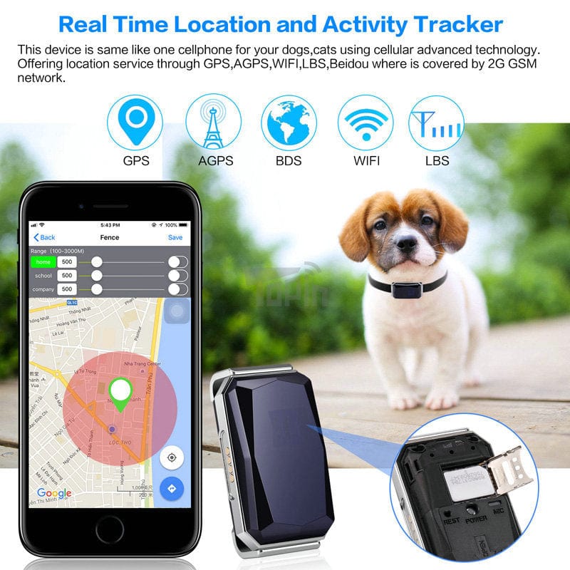 Traceur GPS multifonctionnel pour animaux avec suivi en temps réel et alertes de zone délimitée.