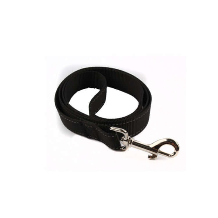 Strong nylon dog leash with stainless steel clip, ideal for pet walking and training.