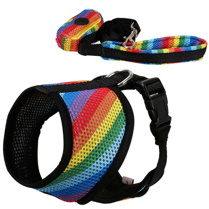 Harnais Arc-en-Ciel pour chien avec laisse assortie, en mesh coloré et confortable, disponible en plusieurs tailles.