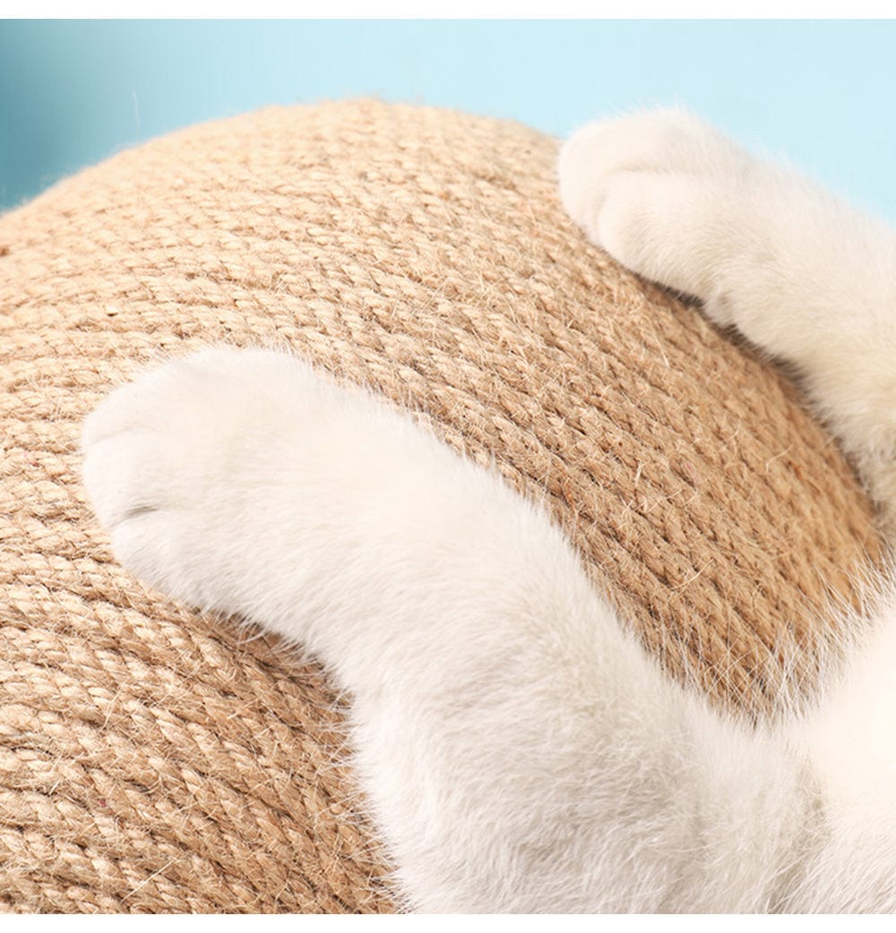 Pattes de chat grattant un jouet en sisal, idéal pour protéger les meubles tout en divertissant l'animal.