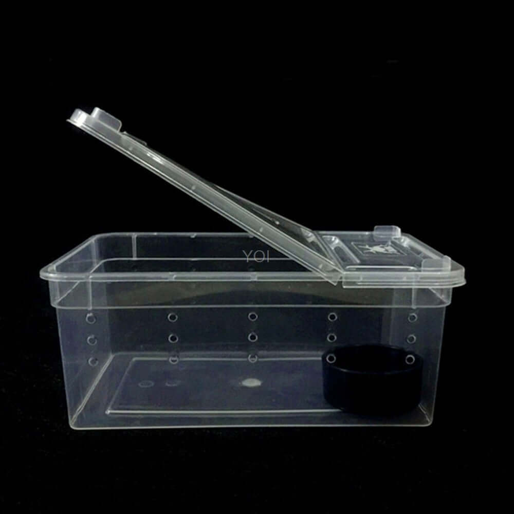 Boîte de nourriture transparente pour reptiles, légère et durable, idéale pour le transport et l'alimentation.