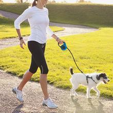 Femme utilisant une laisse télescopique automatique pour promener son chien dans un parc ensoleillé.