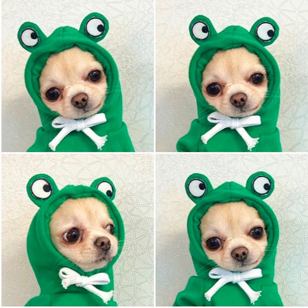 Chihuahua in a green frog hoodie, showcasing a stylish and cozy outfit for dogs.