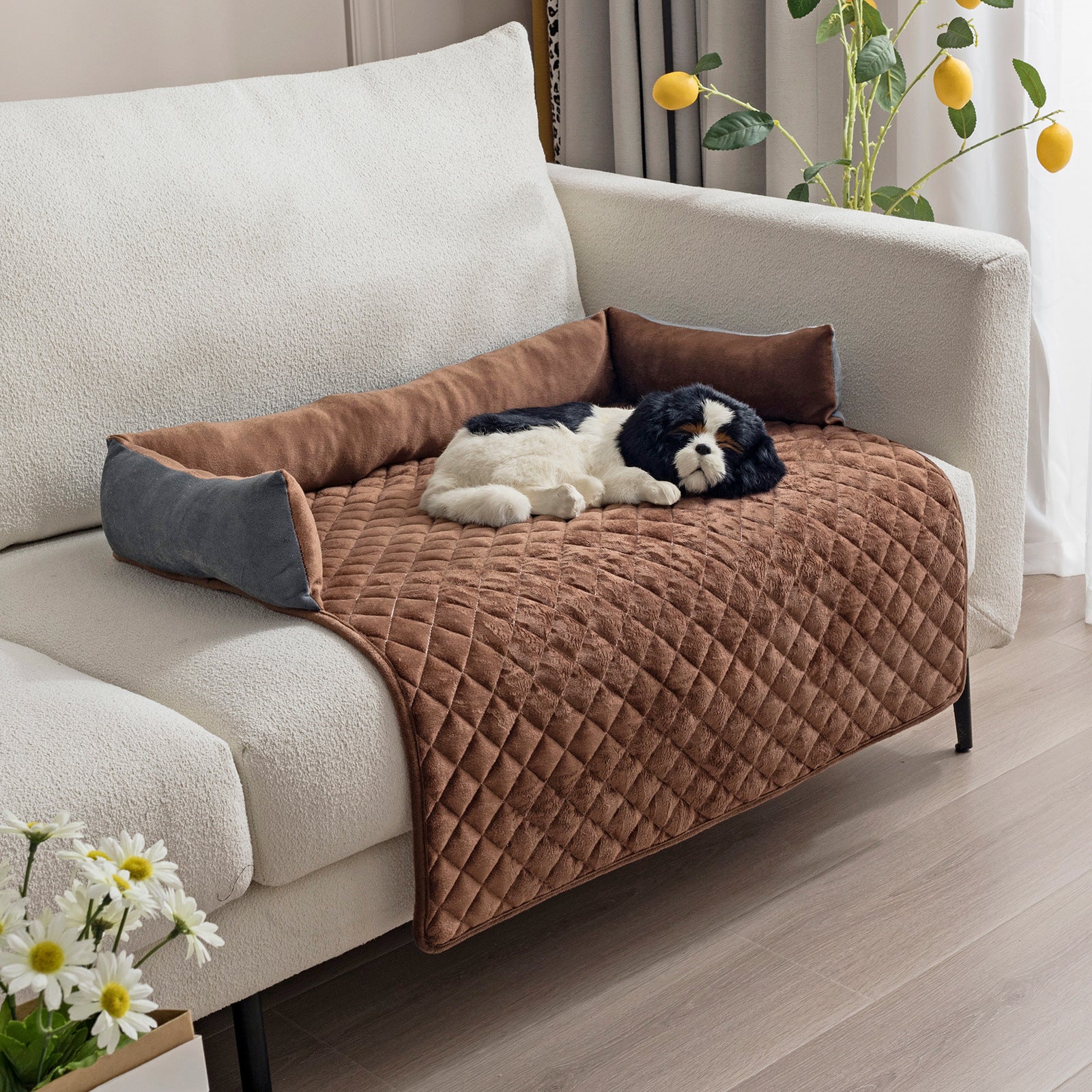 Canapé pour Chiens et Chats - Lit Douillet pour Animaux